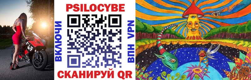 Псилоцибиновые грибы Psilocybine cubensis  Пущино 